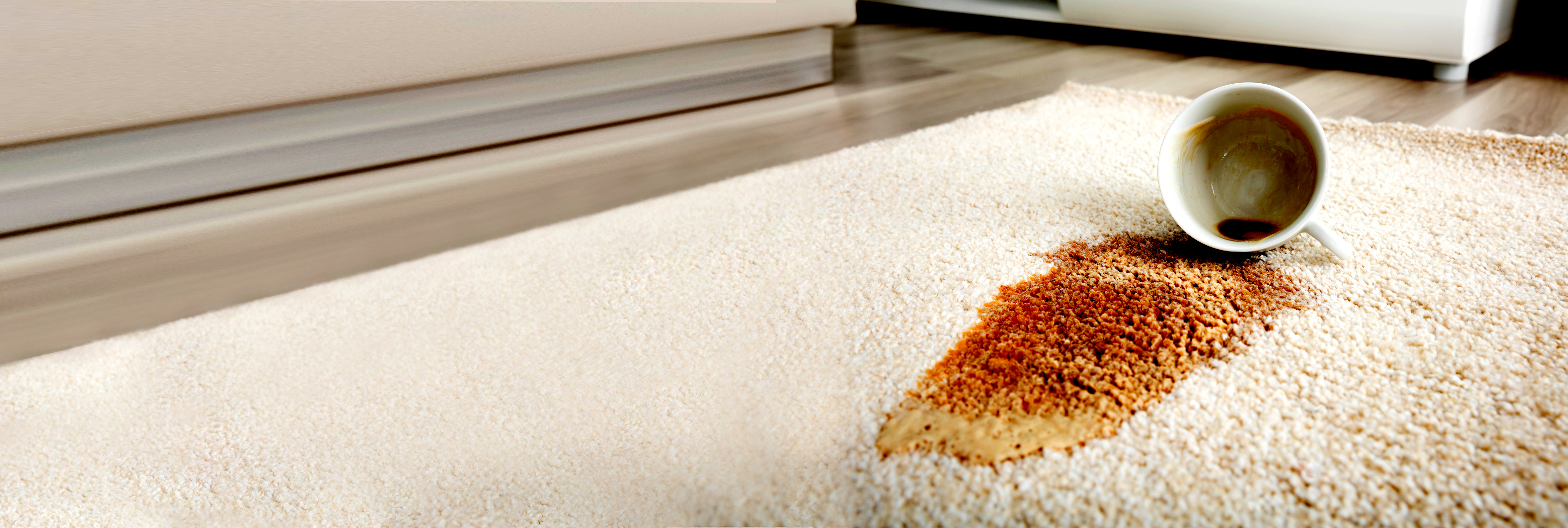 Aansprakelijkheidsverzekering voor particulieren (AVP)